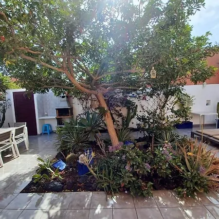 Kite Kate, Cozy Space, House And Garden