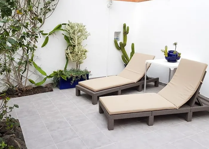 Kite Kate, Cozy Space, House And Garden