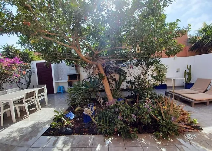 Kite Kate, Cozy Space, House And Garden