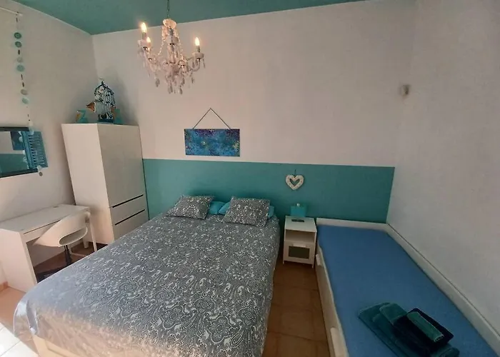 Kite Kate, Cozy Space, House And Garden