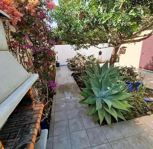 Daire Kite Kate, Cozy Space, House And Garden *